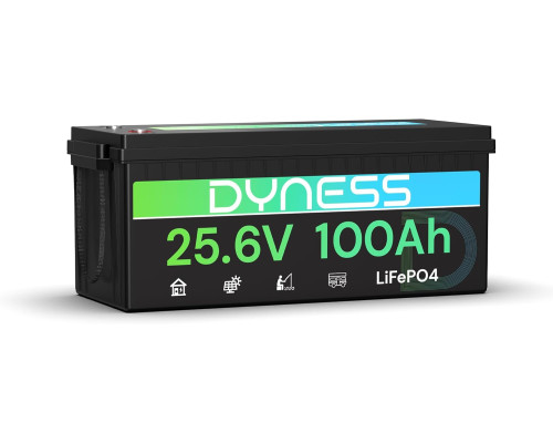 Акумулятор Dyness LiFePO4 25.6 V 100 Ah 2560 W